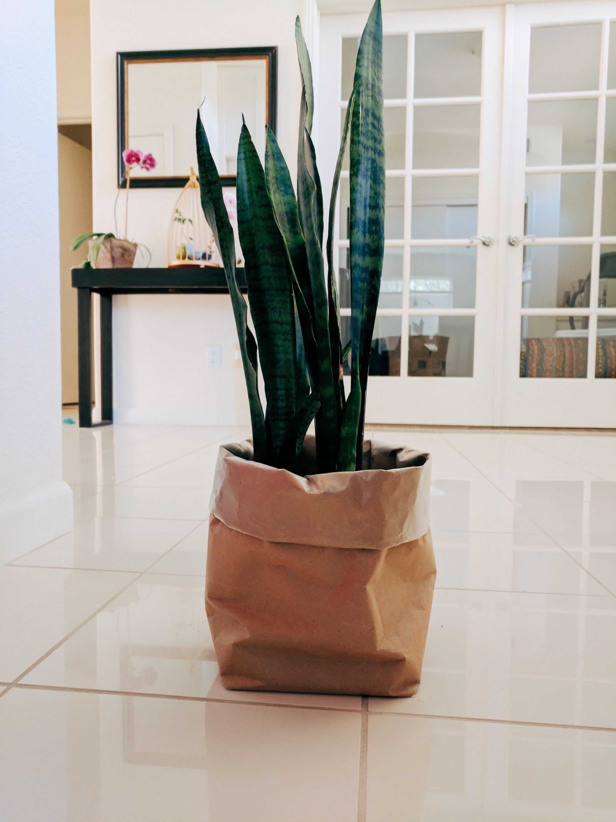 DIY Paper Bag Planters – Average Ariel